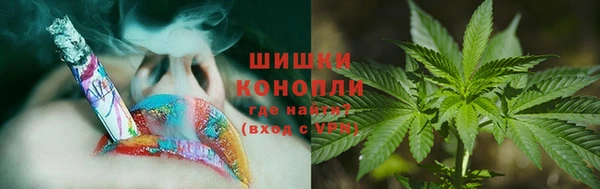 дурь Алексеевка