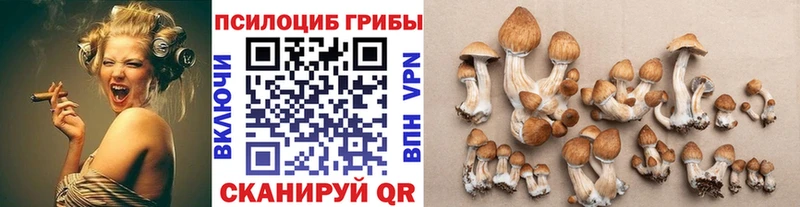 ссылка на мегу ссылка хочу Багратионовск Галлюциногенные грибы прущие грибы